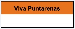 Divisa del Partido Político Viva Puntarenas